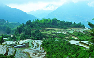 丽水遂昌湖山乡天气预报