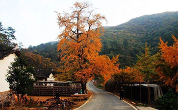 孝感汉川汈东街道天气预报