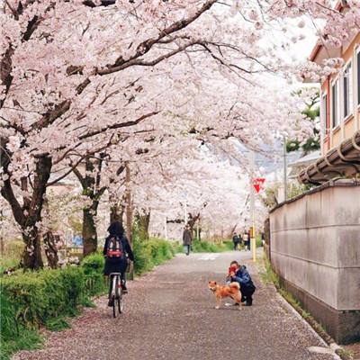 国防部:今年7月1日将正式换发新式军官证