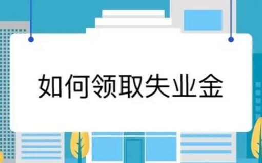 失业金领取条件及标准（失业金领取条件及标准青岛）