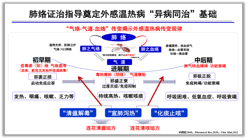 贾振华教授：直击呼吸系统传染病防控难题，肺络证治证据充足、优势明显