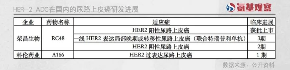 HER2靶点蓄势待发，DS-8201与国产ADC共舞