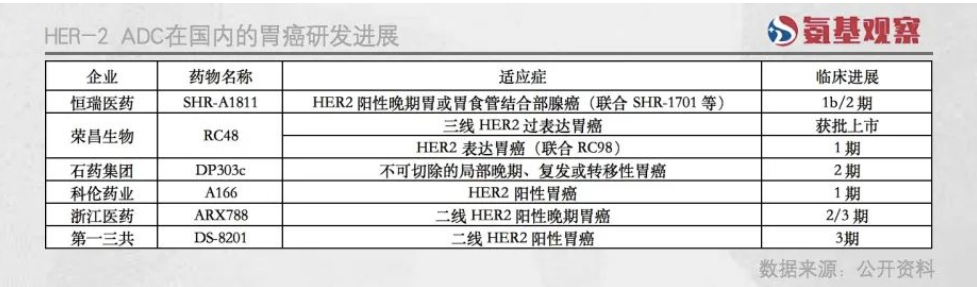 HER2靶点蓄势待发，DS-8201与国产ADC共舞