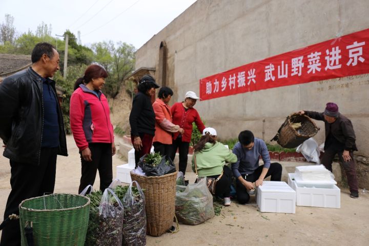 京东七鲜把“戈壁菜”搬出大西北：1500公里最快48小时直达！