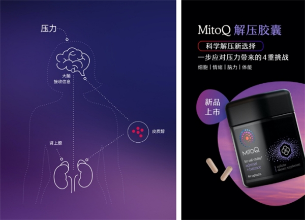 新西兰MitoQ推出解压胶囊,实现科学解压新选择