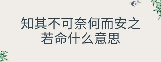 知其不可奈何而安之若命什么意思（知其不可奈何而安之若命意思）