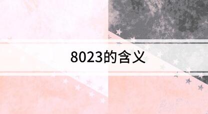 8023是什么意思啊（love 8023是什么意思啊）