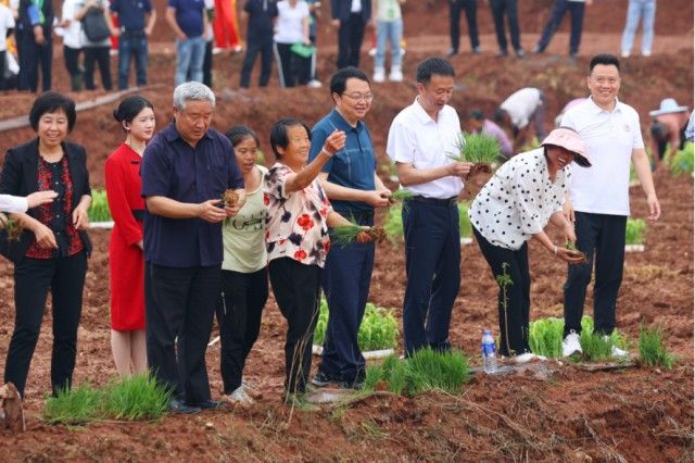 2023五粮液种粮大典隆重举行，持续谱写和美种植新篇章