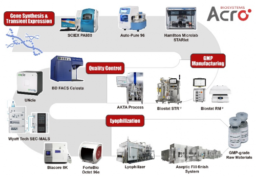 ACROBiosystems百普赛斯GMP蛋白定制服务，加速细胞基因治疗药物研发、上市进程
