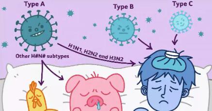 甲流和新冠症状上有哪些区别（甲流和新冠症状上有哪些区别一）