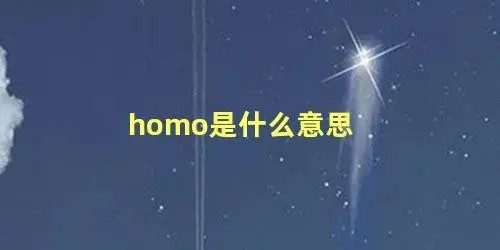 homo是什么意思（homo是什么意思啊）