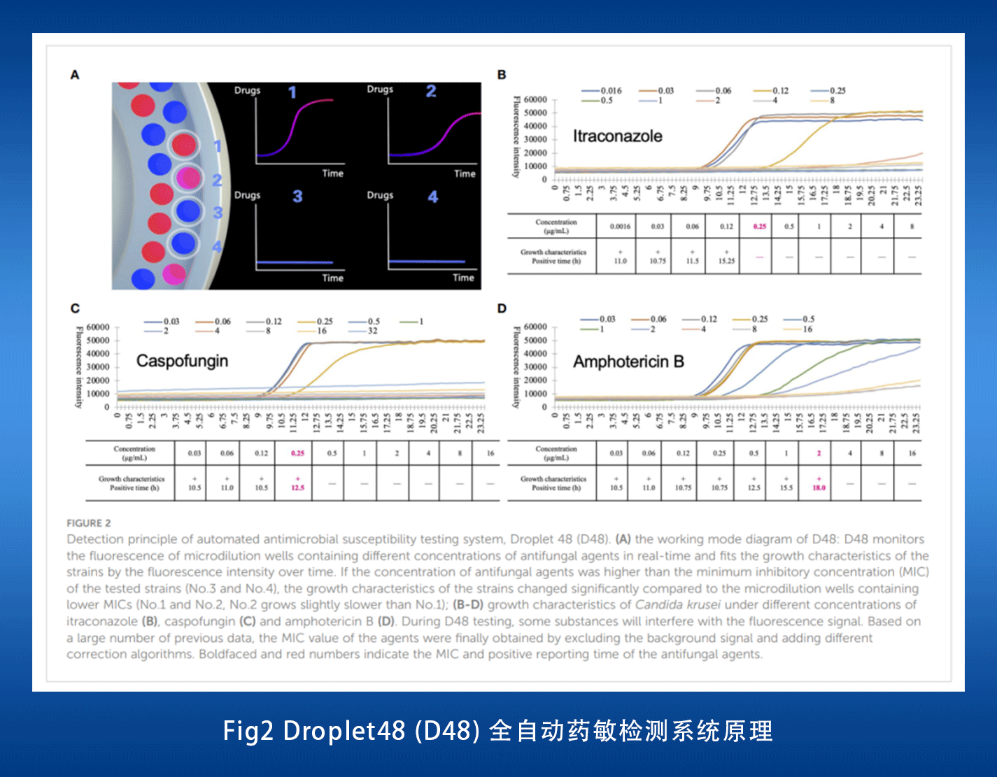 国际期刊（影响因子6.073）发表！复星诊断全自动真菌药敏检测系统获认可