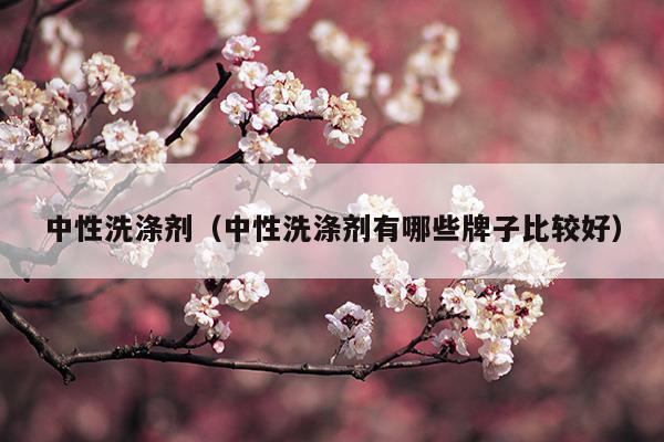 中性洗涤剂(中性洗涤剂是什么)