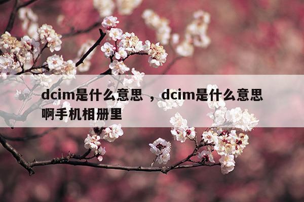 手机dcim文件夹是什么意思?可以删除吗?