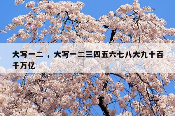 大写一二大写一二三四五六七八大九十百千万亿(大写壹至拾仟佰万元怎么写)