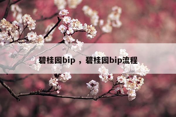 碧桂园vip登录