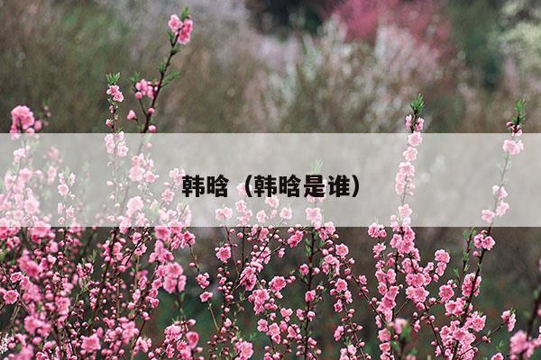 韩晗(韩晗个人资料)