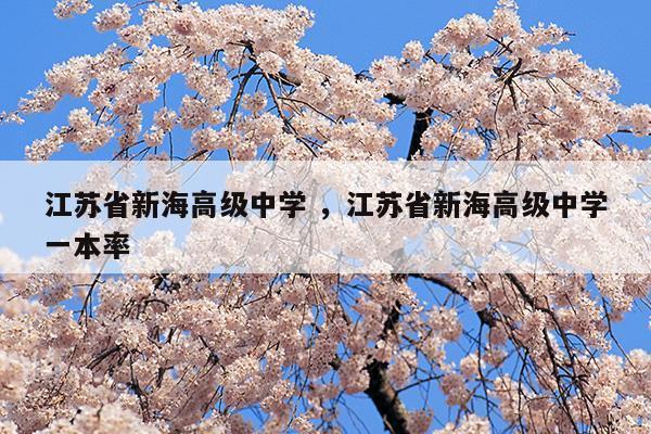 江苏省新海高级中学江苏省新海高级中学一本率(江苏省新海高级中学是公立还是私立)