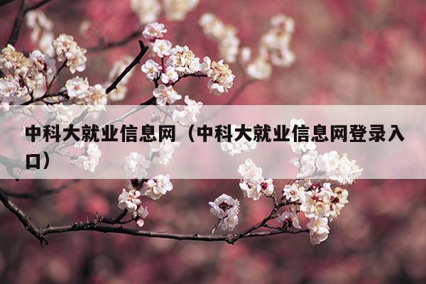 中科大就业信息网(中科大博士招生信息网)