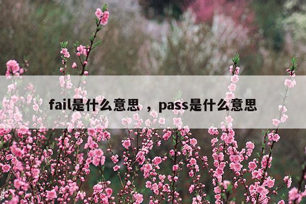 fail是什么意思pass是什么意思(认缴出资是什么意思是什么意思)