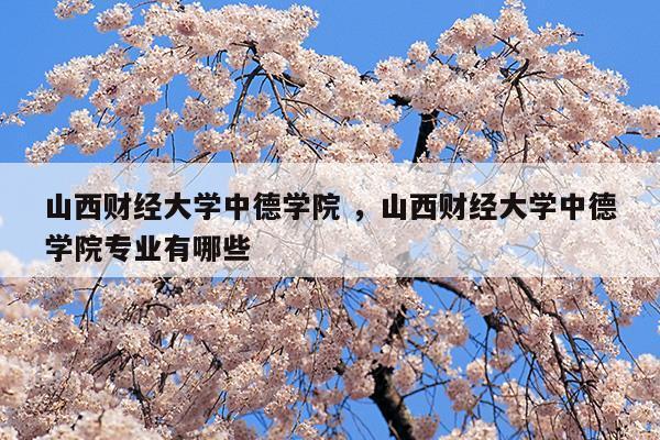 山西财经大学中德学院山西财经大学中德学院专业有哪些(山西财经大学中德学院学费)