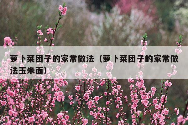 萝卜菜团子的家常做法(卞萝卜菜团子)