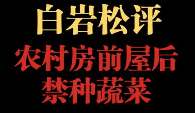 白岩松评农村房前屋后禁种蔬菜 白岩松评论农村宅第前禁地后禁地种菜