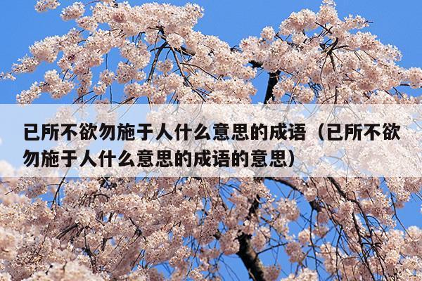 已所不欲勿施于人什么意思的成语(已所不欲勿施于人什么意思的成语图片)