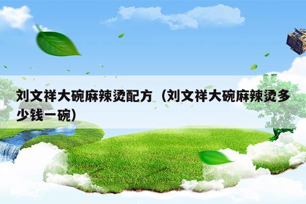 刘文祥大碗麻辣烫配方(刘文祥大碗麻辣烫创始人)