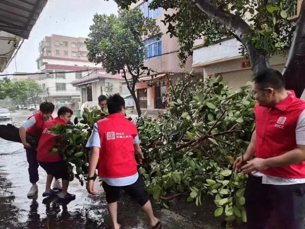 “泰利”登陆 人保守护