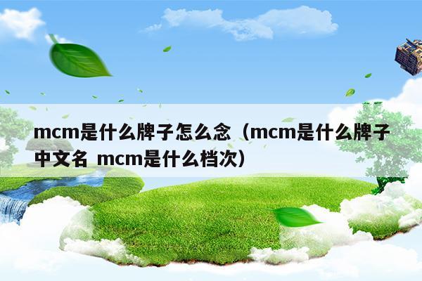 mcm是什么牌子 多少钱