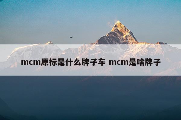 mcm原标是什么牌子车mcm是啥牌子(mcm原标是什么牌子车mcm是啥牌子)