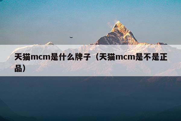 mcm是什么材料