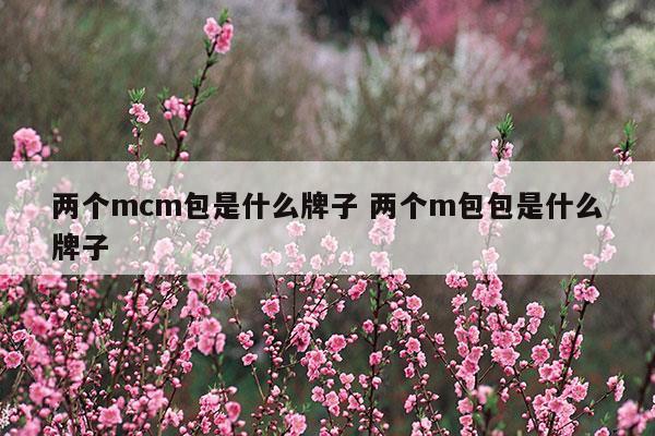 两个mcm包是什么牌子两个m包包是什么牌子(mcm包包是什么牌子中文名)