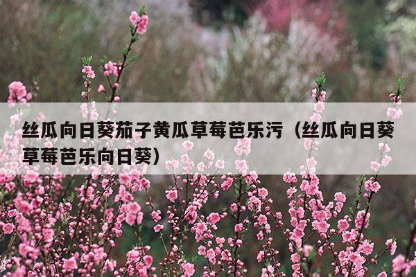 丝瓜向日葵茄子黄瓜草莓芭乐污(丝瓜向日葵茄子黄瓜草莓芭乐污)