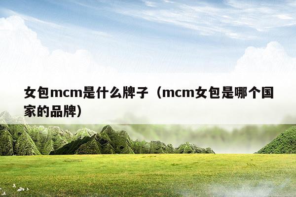 女包mcm是什么牌子(mcm女包包)