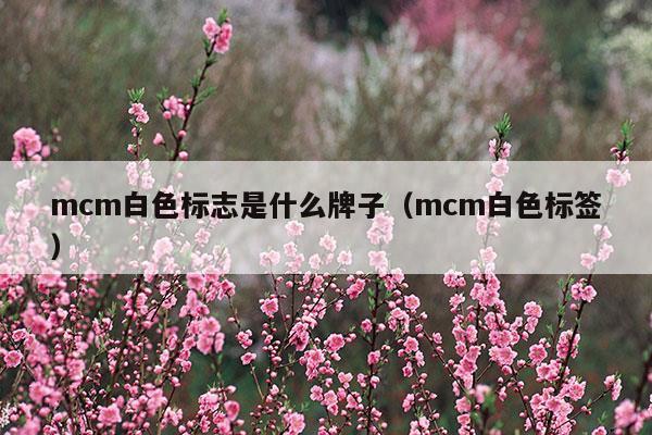 mcm白色标志是什么牌子