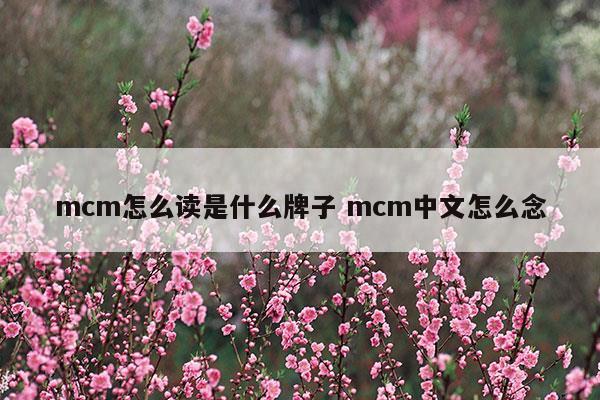 mcm怎么读是什么牌子mcm中文怎么念(mcm读法)