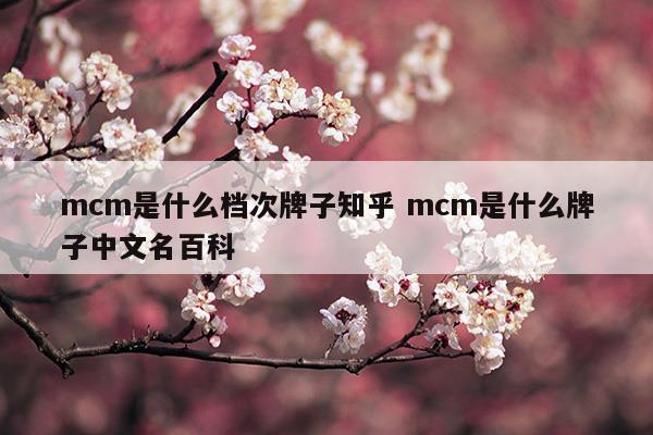 mcm是什么档次牌子知乎mcm是什么牌子中文名百科(mcm是什么档次牌子知乎mcm是什么牌子中文名百科)