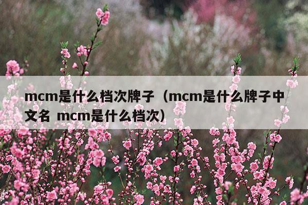 mcm是什么档次牌子(mcm是品牌吗)