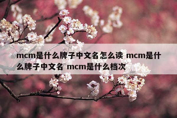 mcm是什么牌子中文名怎么读mcm是什么牌子中文名mcm是什么档次(mcm官网中文官网)