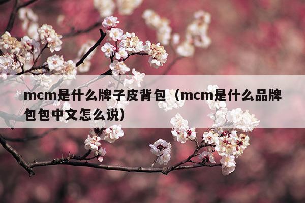 mcm是什么牌子皮背包(mcm包包是什么牌子的)