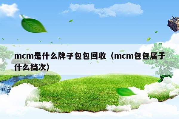 mcm是什么牌子包包回收(mcm包回收价多少)