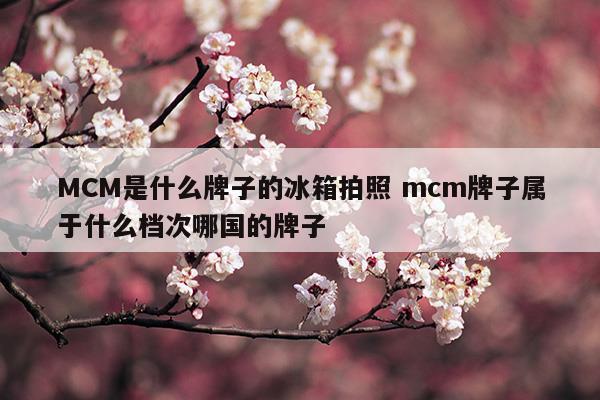 MCM是什么牌子的冰箱拍照mcm牌子属于什么档次哪国的牌子(MCM是什么牌子的冰箱拍照mcm牌子属于什么档次哪国的牌子)