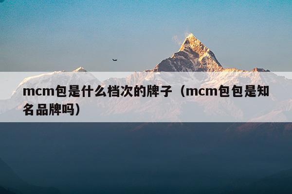 mcm包是什么档次的牌子(mcm包是什么档次的牌子)