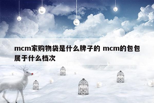 mcm家购物袋是什么牌子的mcm的包包属于什么档次