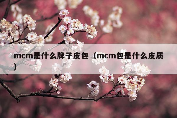 mcm是什么牌子皮包(mcm属于什么档次的包)