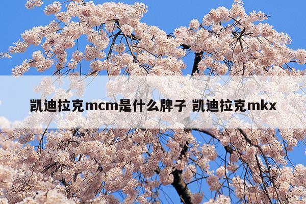 凯迪拉克mcm是什么牌子凯迪拉克mkx(凯迪拉克mcm是什么牌子凯迪拉克mkx)