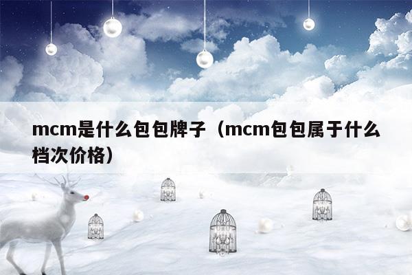 mcm是什么包包牌子(mcm是什么品牌包包中文怎么说)