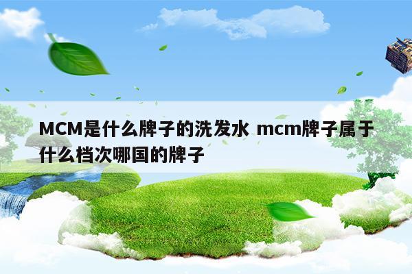 MCM是什么牌子的洗发水mcm牌子属于什么档次哪国的牌子(丝逸洗发水属于什么档次)